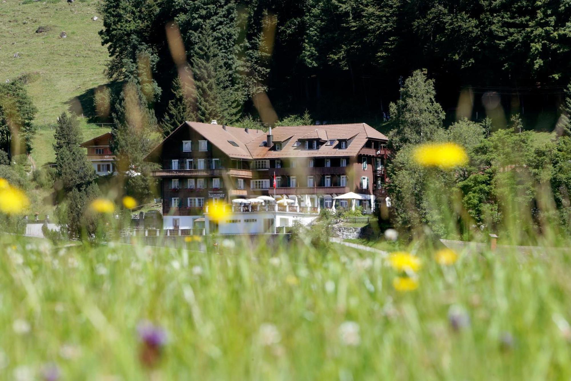 Hotel Restaurant Hammer Eigenthal Екстер'єр фото